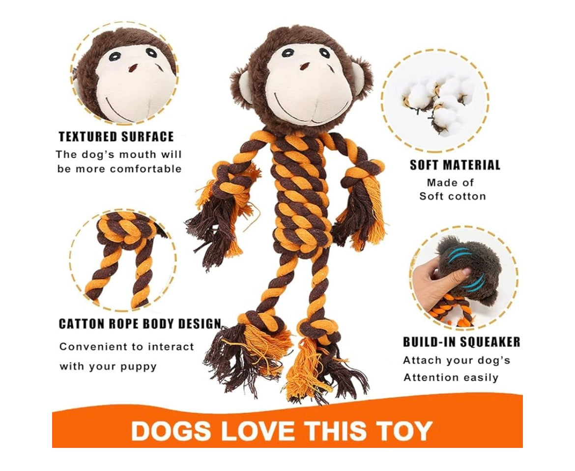 STORM READY COMPLETE PET KIT (Packed with Love…)